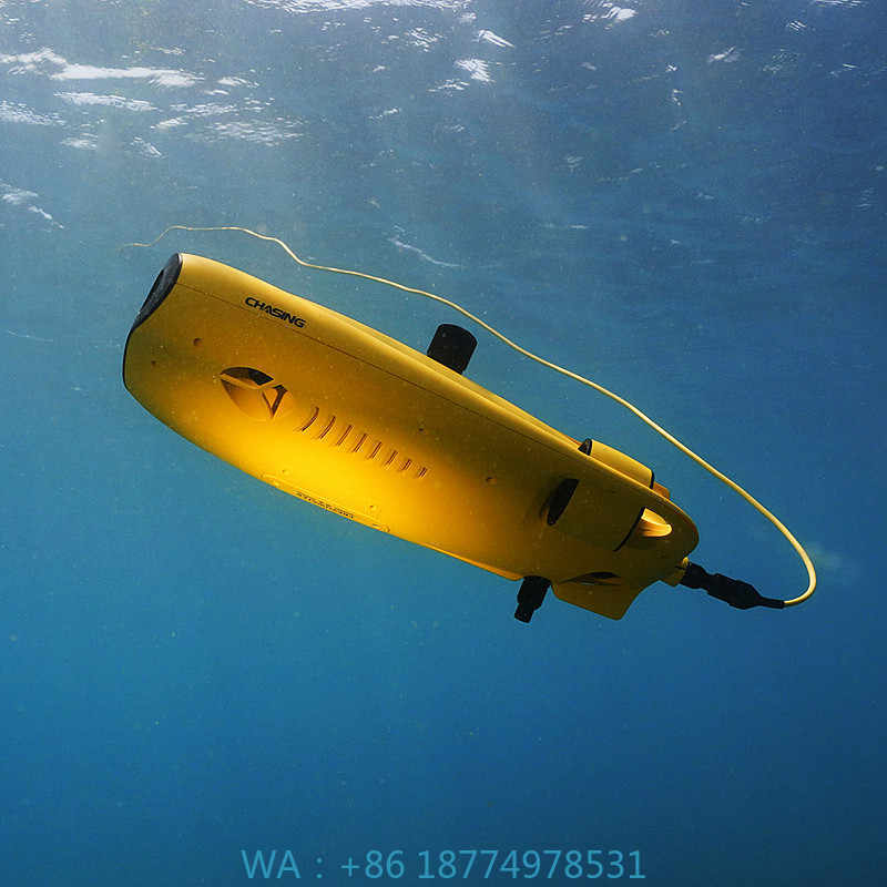 Fish Finder - l'attrezzatura di salvataggio dell'alvage può nuotare