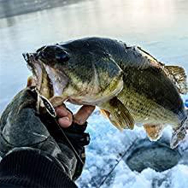 Fish Finder Transducer - ABLB-Trasduttore per Ecoscandaglio da Kayak, Ecoscandaglio